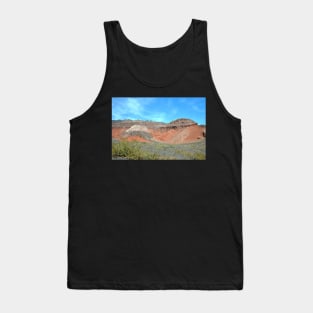 Argentine - Quebrada de las Conchas Tank Top